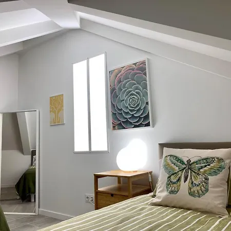 Duplex Camino De Santiago Iii En Rua Real, *