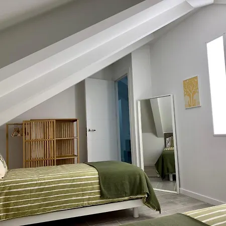 Apartment Duplex Camino De Santiago Iii En Rua Real,
